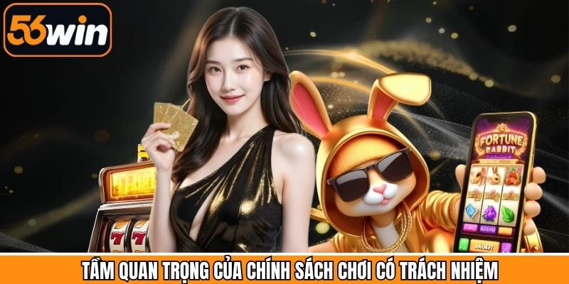 Vai trò chính trong quy định chơi có trách nhiệm
