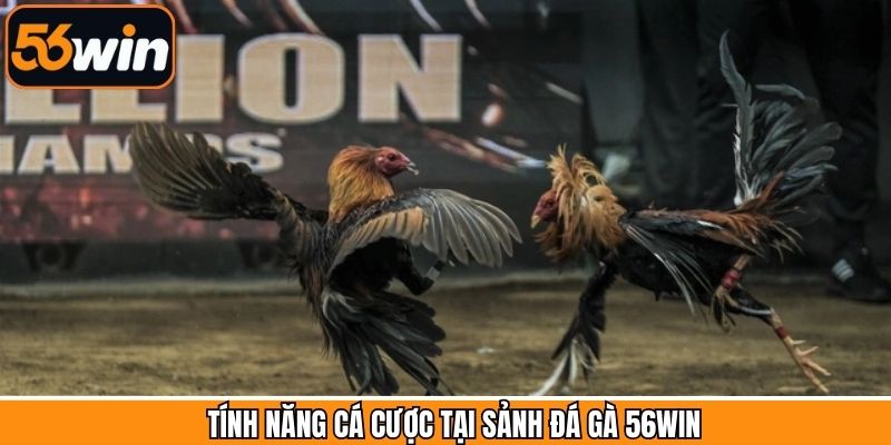 Tính năng nổi bật của hệ thống đá gà tại 56Win
